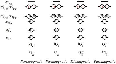 Unraveling the Effect of Singlet Oxygen on Metal-O2 Batteries: Strategies Toward Deactivation